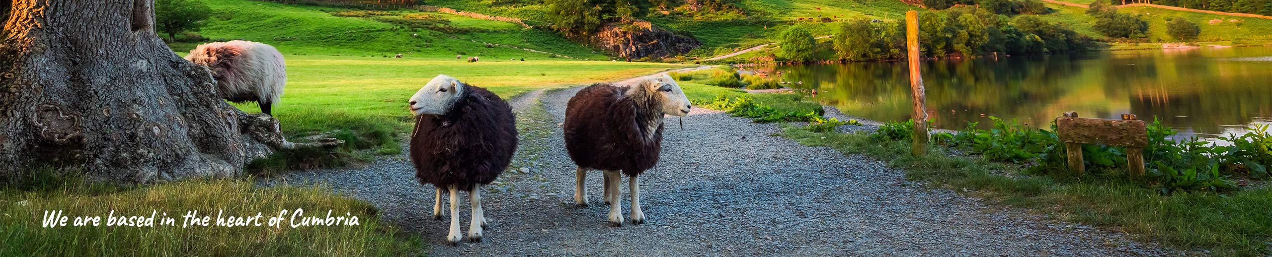 Lake district